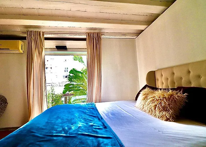 Rambla Nou Bcn Gasthof